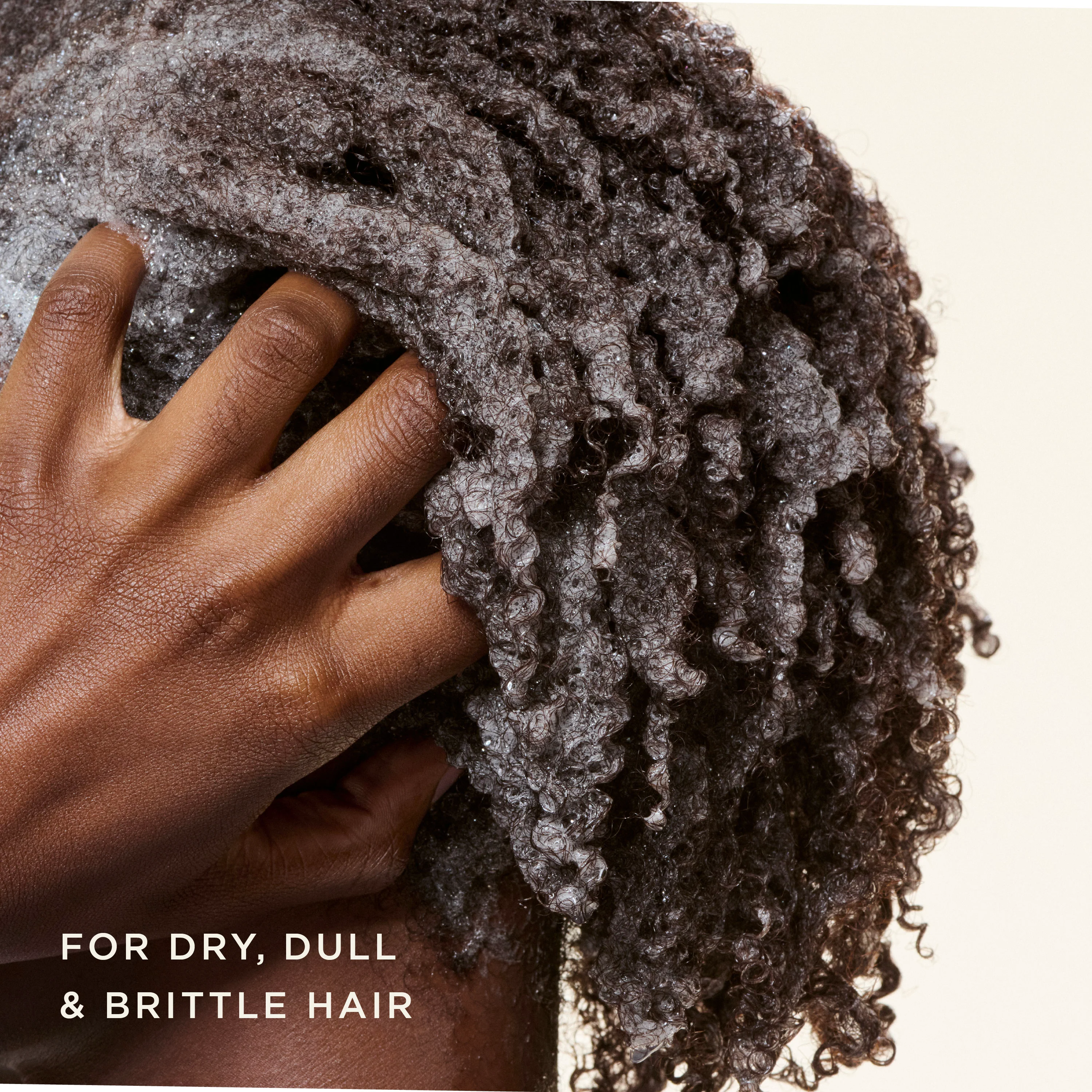 Black Vanilla Moisture & Shine Sulfate Free Shampoo - Image 3